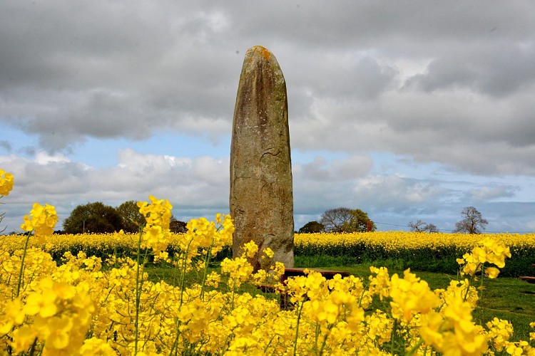 Du menhir et des tournesols