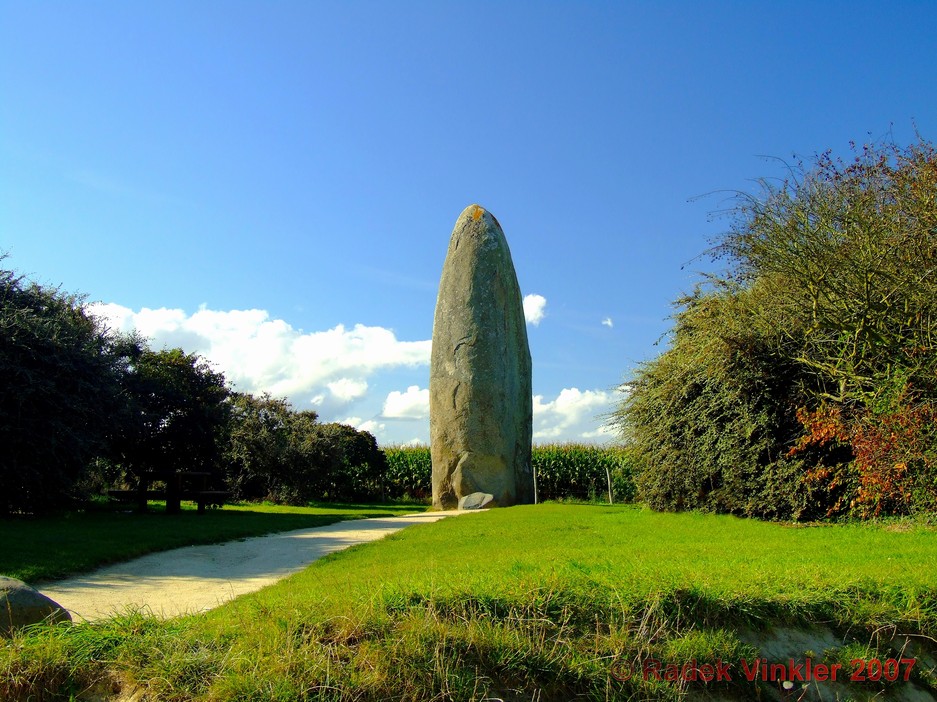Menhir avec de la végétation